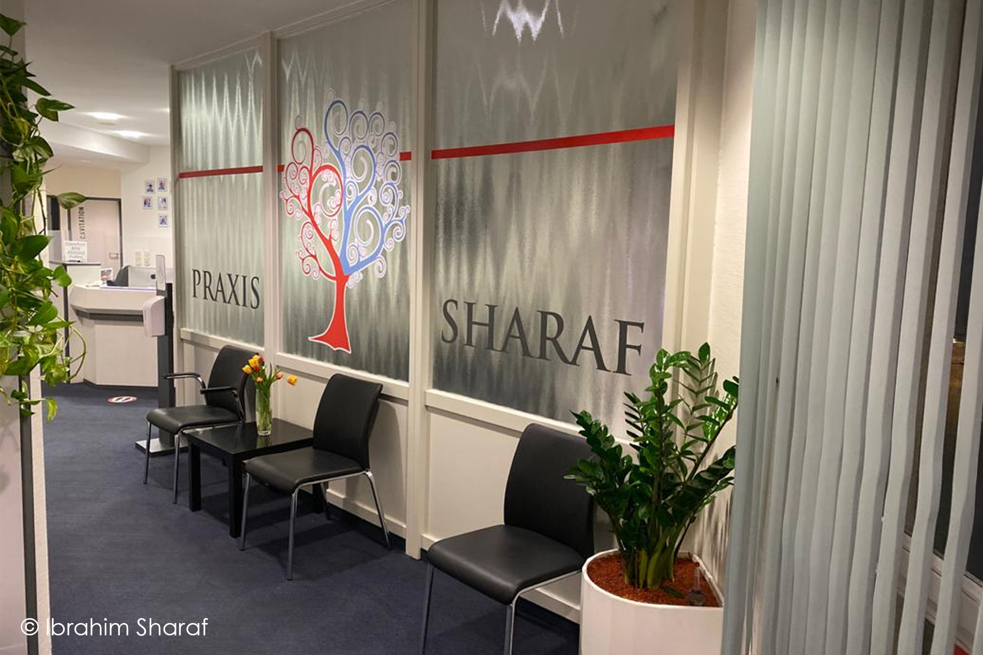 Praxis-Ibrahim-Sharaf